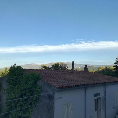 Monti Di Bo Apartment Aggius Luaran gambar