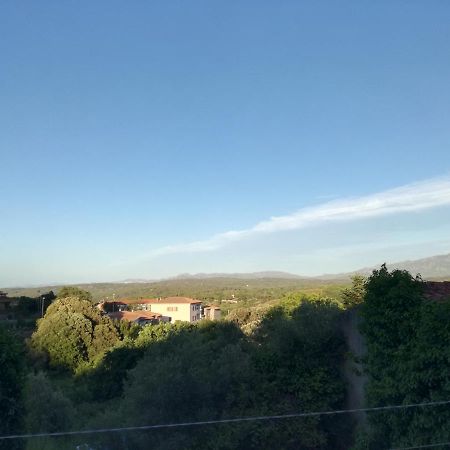 Monti Di Bo Apartment Aggius Luaran gambar